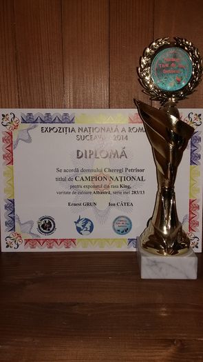 Campion National Suceava 2014 - Rezultate