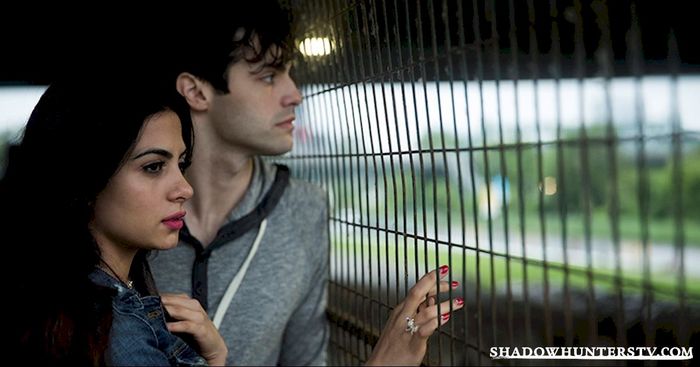 Shadowhunters (10) - Shadowhunters