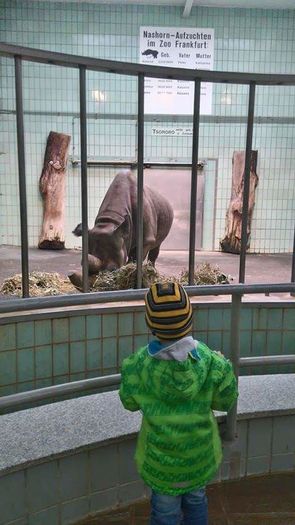 12745733_1038214456242305_8816756793691154014_n - zoo frankfurt