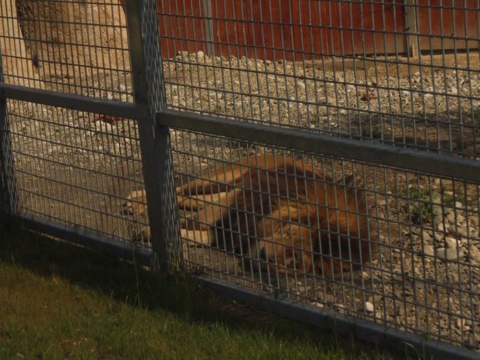 11036495_371124556419165_5752089708342446060_n