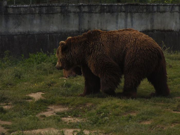 11121223_371125336419087_25342810988215335_n