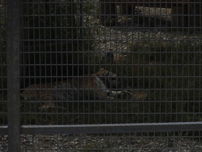 11428065_371123979752556_685180137951183635_n