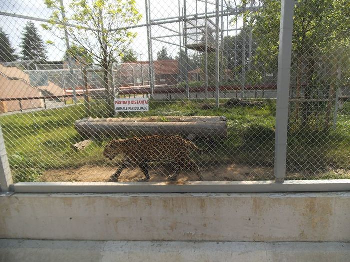 11429969_371124343085853_7428056958298796416_n