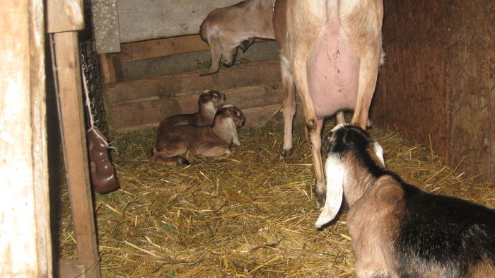 Picture 7783