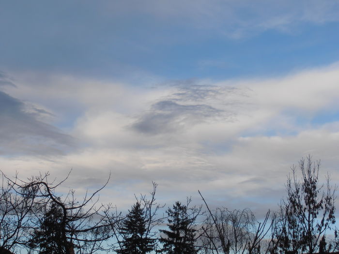 P1120030 - IARNA