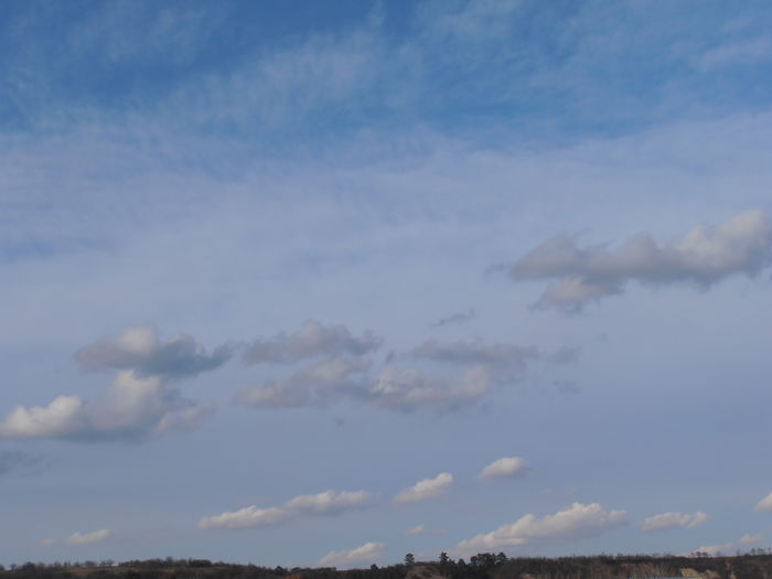 P2120037 - IARNA