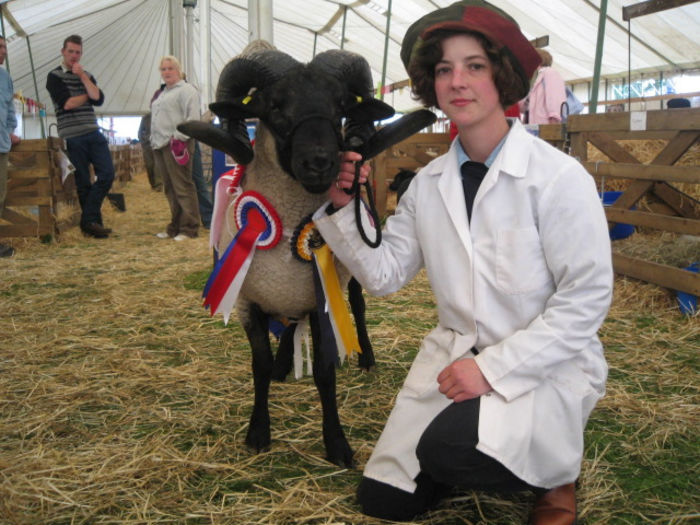 Berbec Norfolk Horn premiat-658 - Rase de oi si capre poze deosebite 10