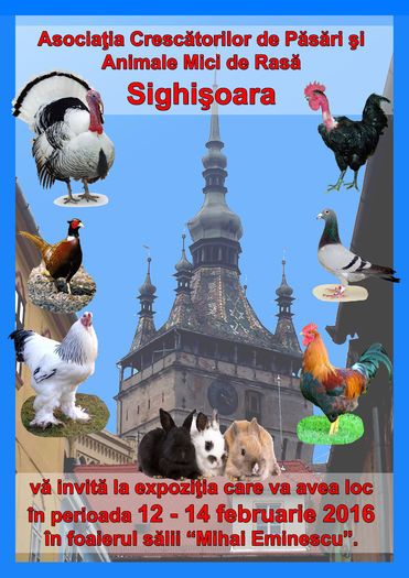 image - 33_TARGURI SI EXPOZITII 2017-2018