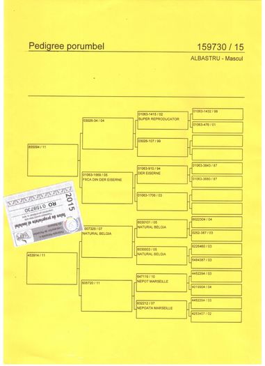 RO-0159730-15-F- - Pedigree F