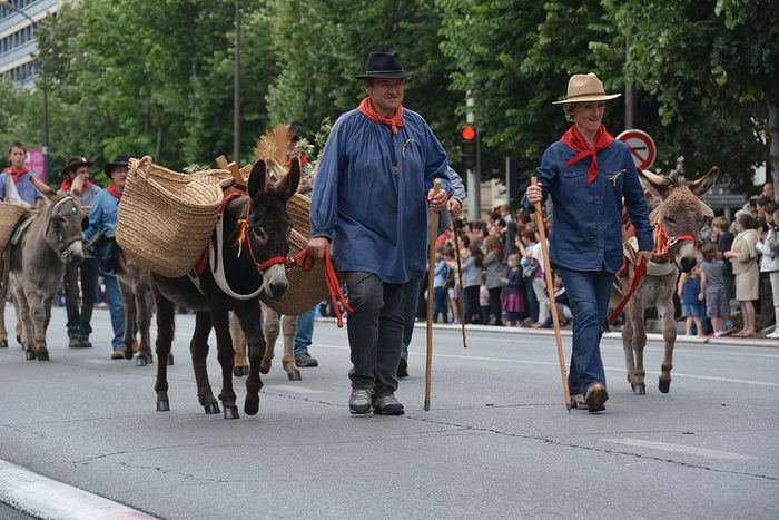 In fata sant magarusii de samar