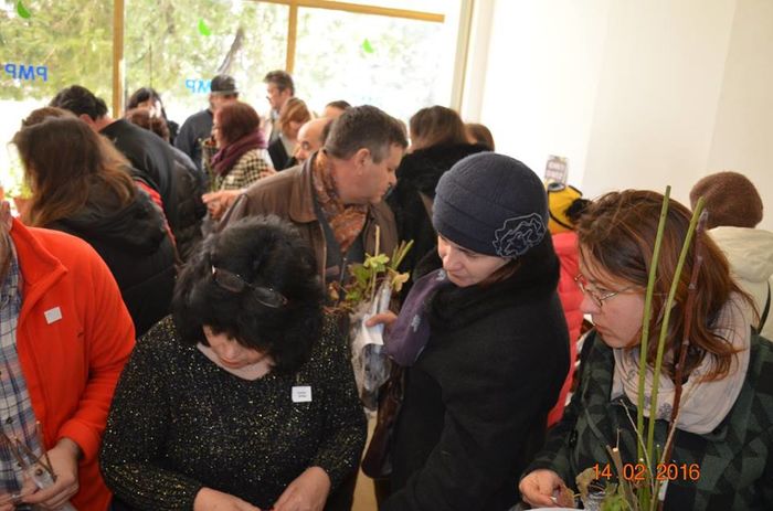 12729304_10207680690590349_3736192912070104824_n - Piata de seminte cu suflet -Buzau