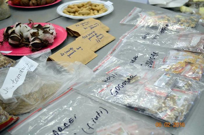 12662564_10207623905850766_5979937680935671519_n