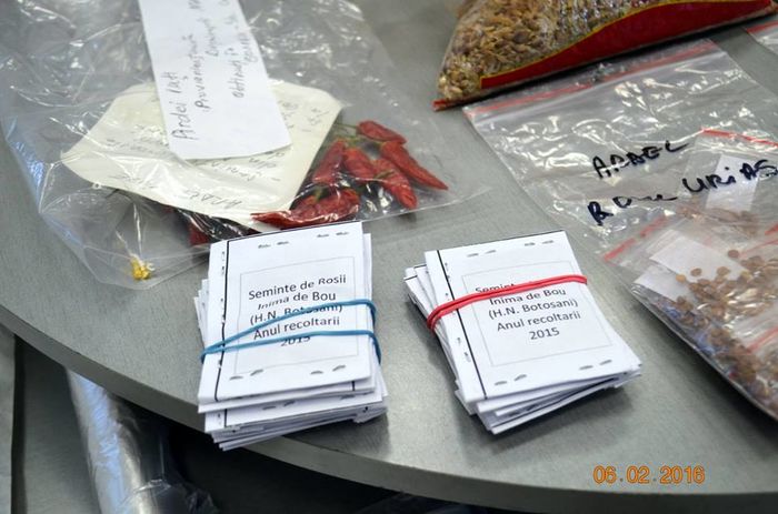 12670255_10207623905490757_6909564790741830085_n