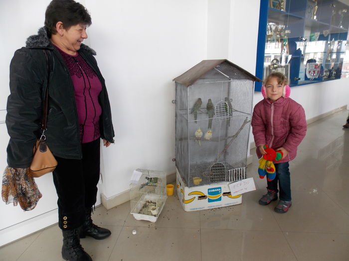 DSCN1261 - EXPO-2016-TARGU SECUIESC