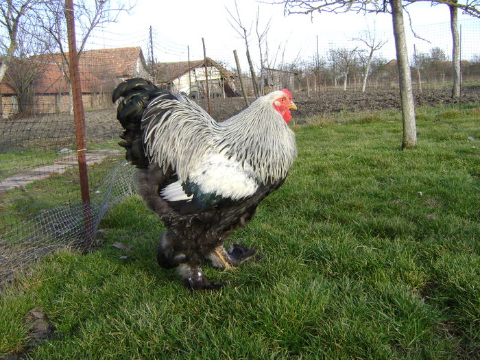 DSC04580 - 36-MATCA 2016