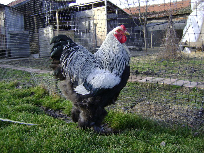 DSC04583 - 36-MATCA 2016