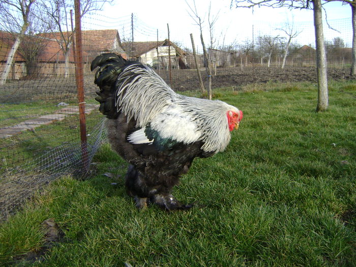 DSC04579 - 36-MATCA 2016