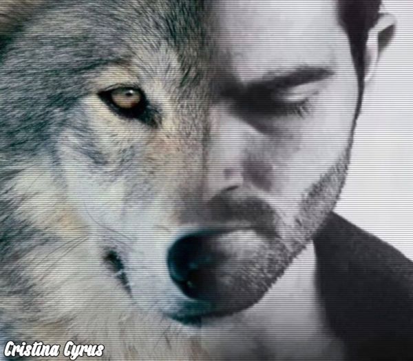 ➷.ᙎคຖĤē໓ค❀ßēlikØʋ.ϟ;. Atunci altă dată, tigrișor.