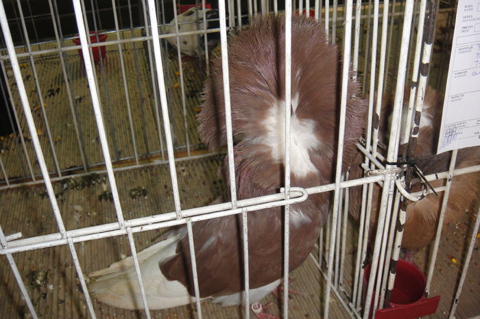 DSC01820
