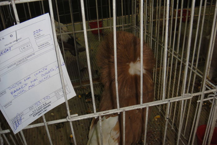 DSC01821