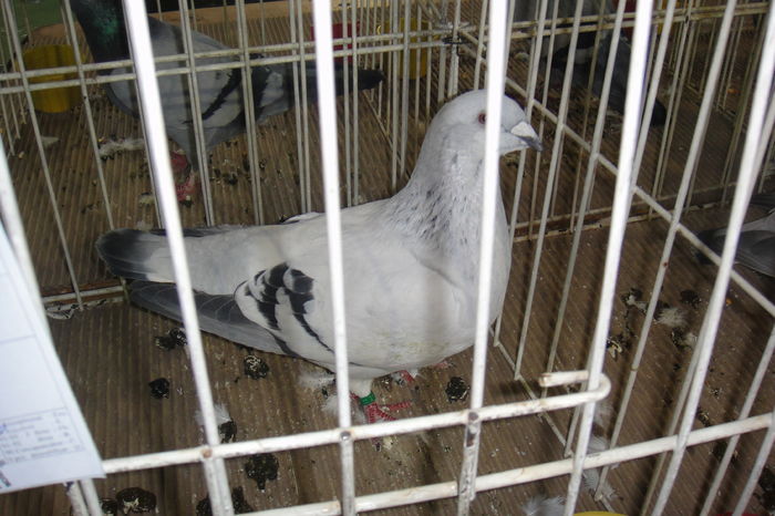 DSC01837