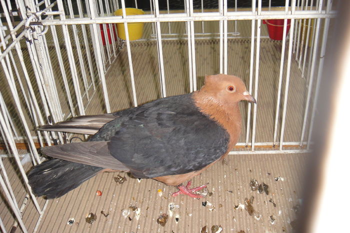 DSC01842