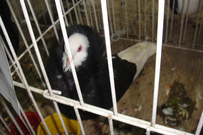 DSC01859