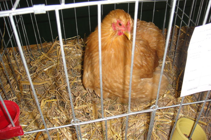 DSC01940