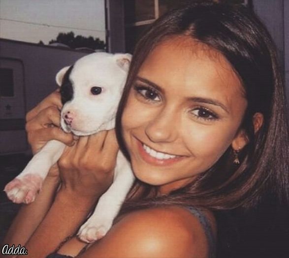 - *îl pupă în bot*