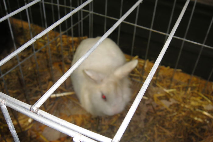 DSC01975