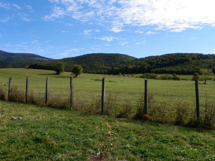 4 oct. 041 - z-Dobarland 2014