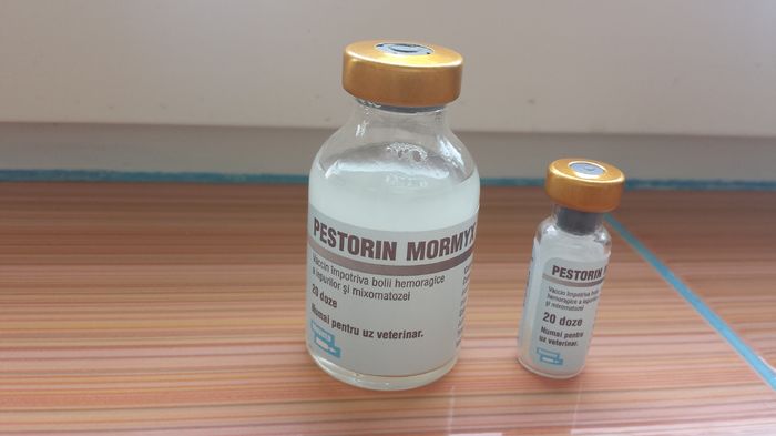 Pestorin Mormyx