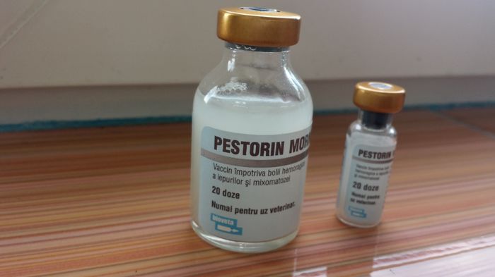 Pestorin Mormix 20doze