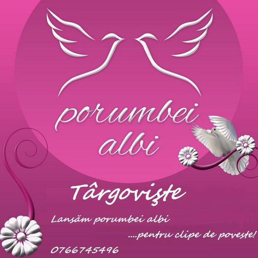 Porumbei Albi Targoviste - Inchiriez porumbei albi Targoviste - CONTACT