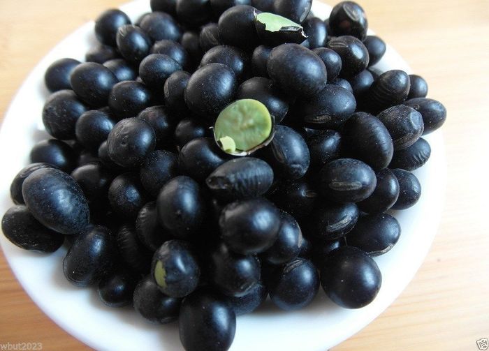 Soia Neagra - alte vegetale de consum putin cunoscute