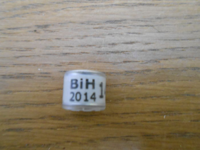 BIH  2o14