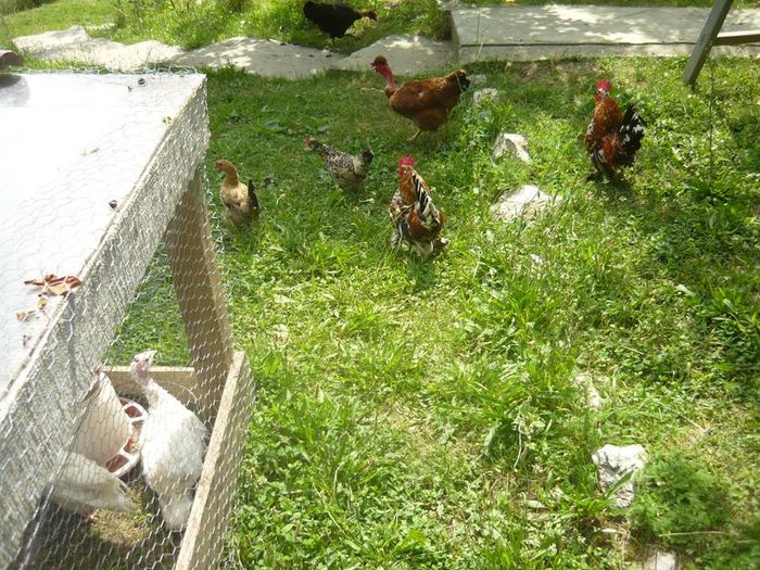 10991345_328864897311798_5642154226806788964_n