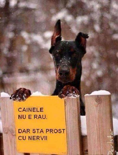 0-NzA0NDI1MzNiZWEwYjYyMTc2NmUxOGVjMTQwYWYyNTU=