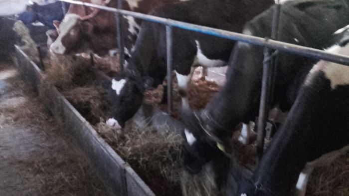 20160301_165825 - Copy