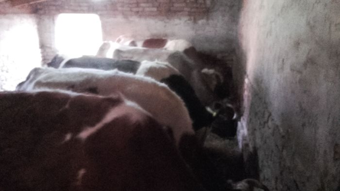 20160301_165852 - Copy