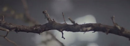 bandicam 2016-03-01 20-45-20-074