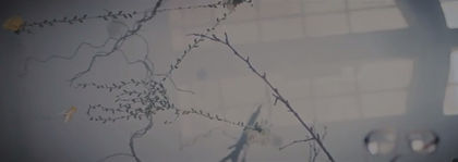 bandicam 2016-03-01 20-46-45-251