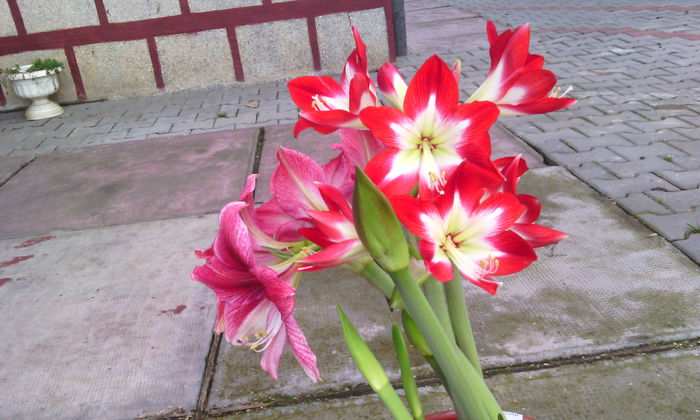 IMG_20160301_164829[1]