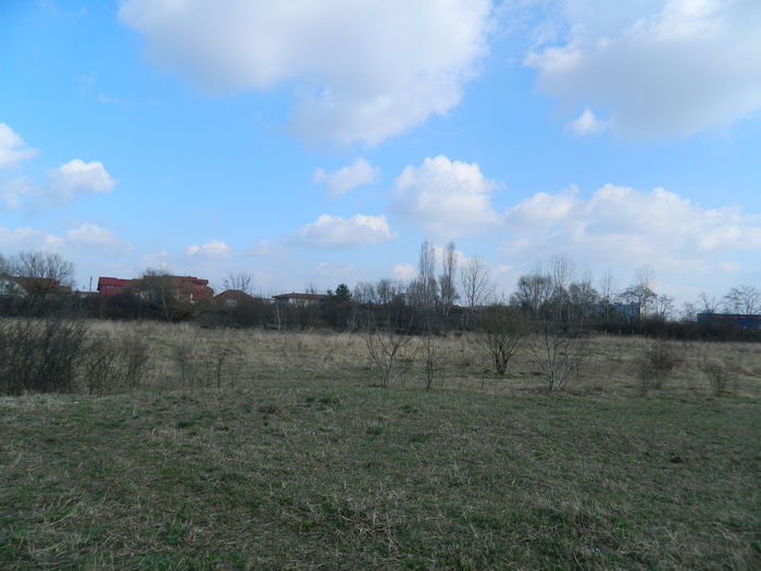 DSCN9059 - 2016 CERUL