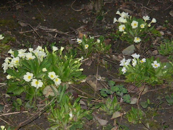 DSCN9772 - 2016 MARTIE