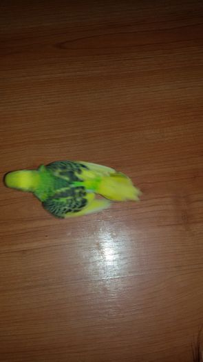 20160302_190353