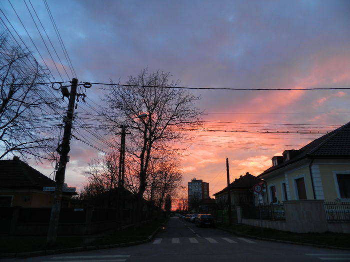 DSCN9900 - 2016 CERUL 2