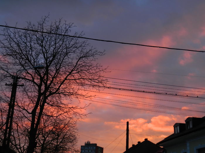 DSCN9903 - 2016 CERUL 2