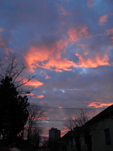 DSCN9922 - 2016 CERUL 2