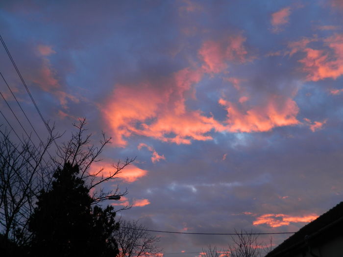 DSCN9923 - 2016 CERUL 2